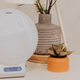 Image for article titled Celebrate Black Friday Early This Year and Save on Chromebooks, Air Fryers & More With Best Buy